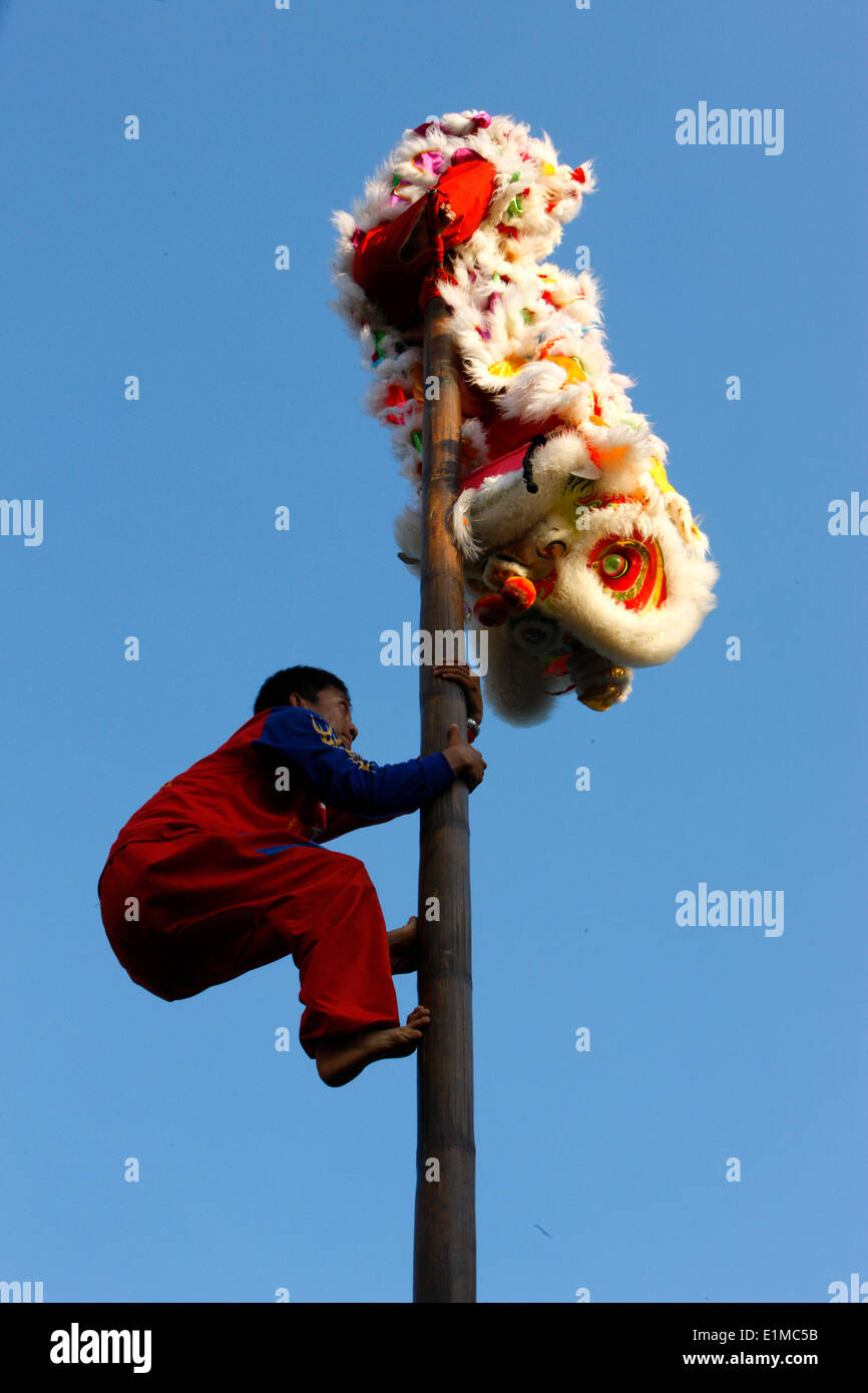 Chinese New Year. Löwentanz Interpreten. Stockfoto