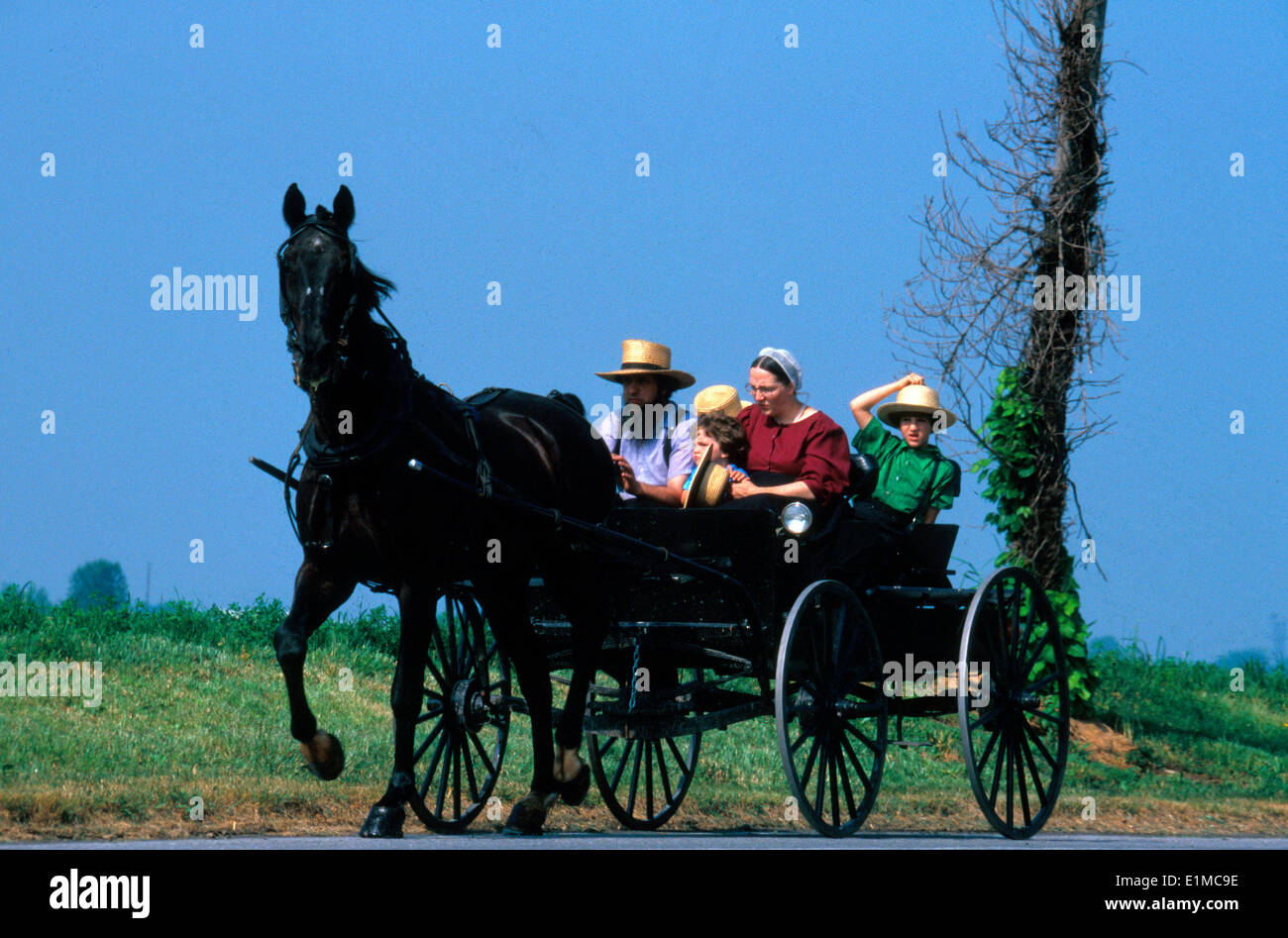 Die Amish von Pennsylvania Stockfoto