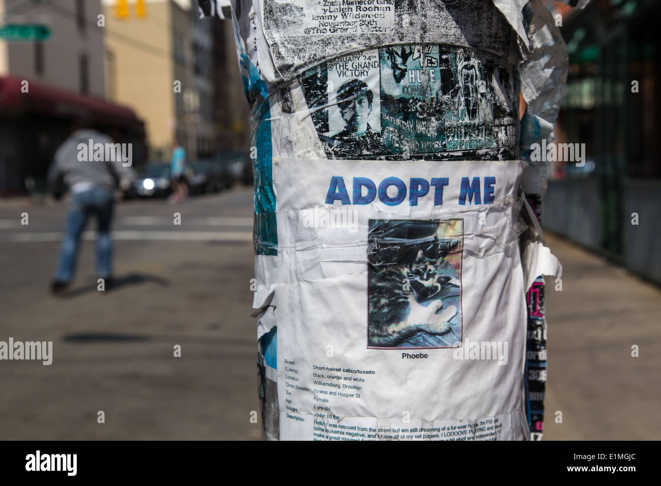 Adoptieren Sie ein Haustier Poster, Brooklyn, NYC Stockfoto