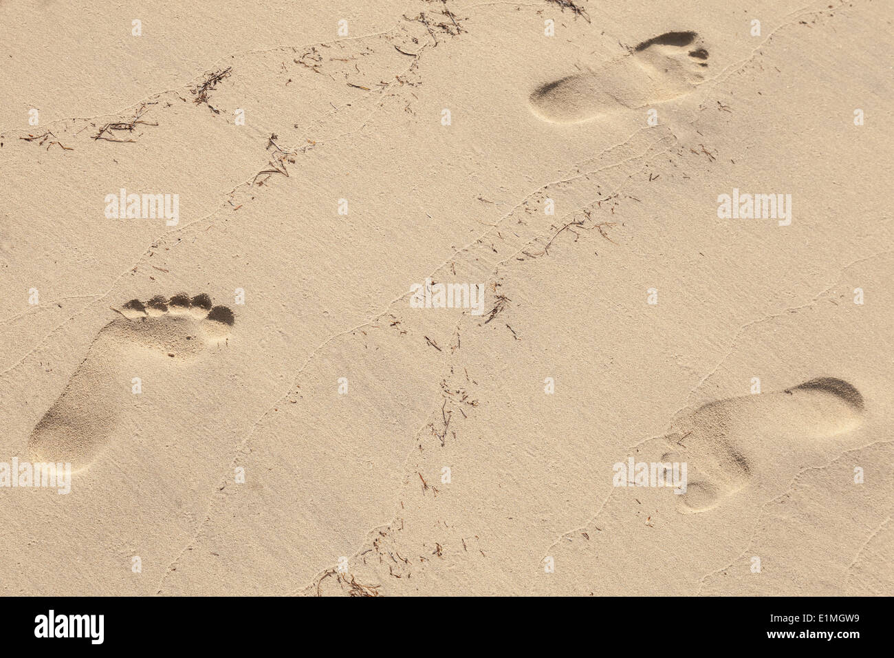 Mann Fußspuren im nassen gelben Sand am Strand Stockfoto