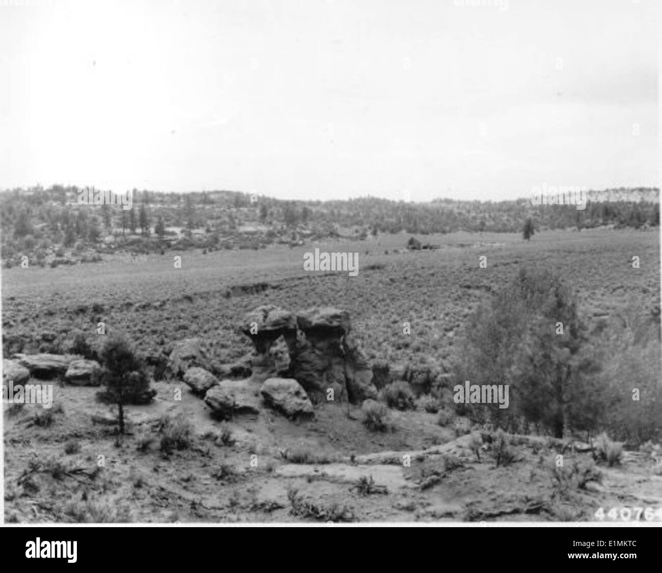 Ein Schwarzweiß-Foto des Carson National Forest zeigt eine atemberaubende Landschaft mit Bäumen, Bergen und felsigem Gelände. Das Bild zeigt die vielfältigen Ökosysteme des Waldes und seine Rolle als geschütztes Nationalgebiet innerhalb der Bergkette. Stockfoto