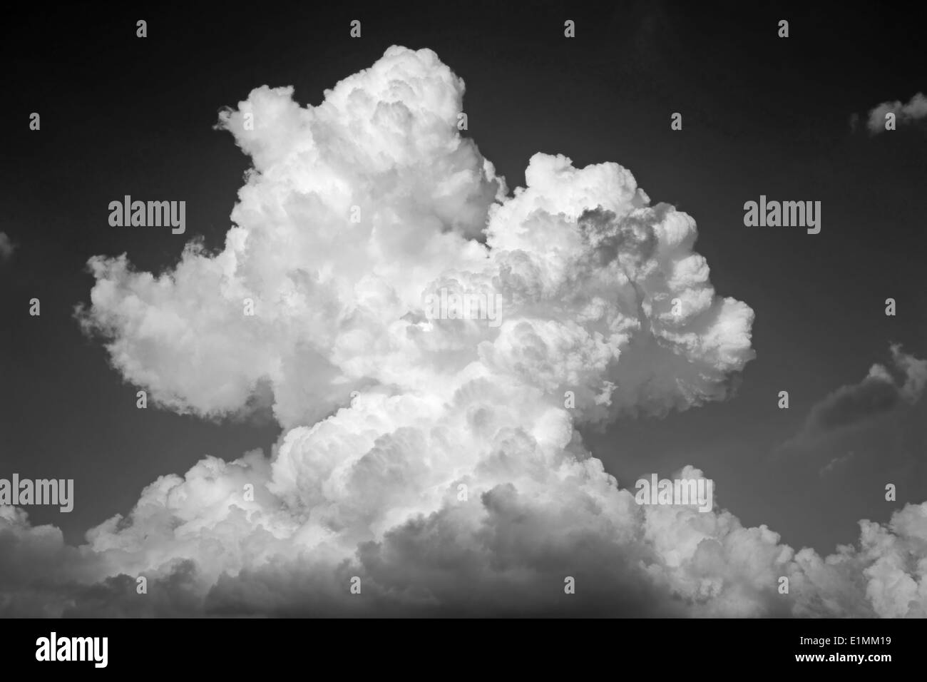 Wolkengebilde für den Sturm in der Baumstruktur Stockfoto
