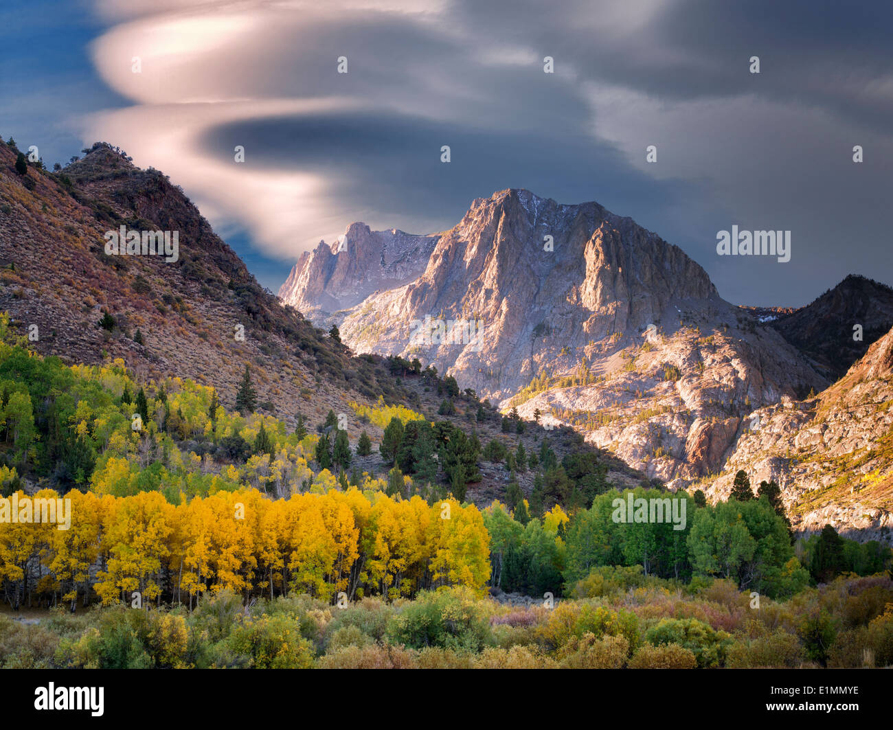 Espe Bäume in Herbstfarben und die Berge rund um Juni Seen Loop.Eastern Sierra Nevada Mountains, Kalifornien Stockfoto