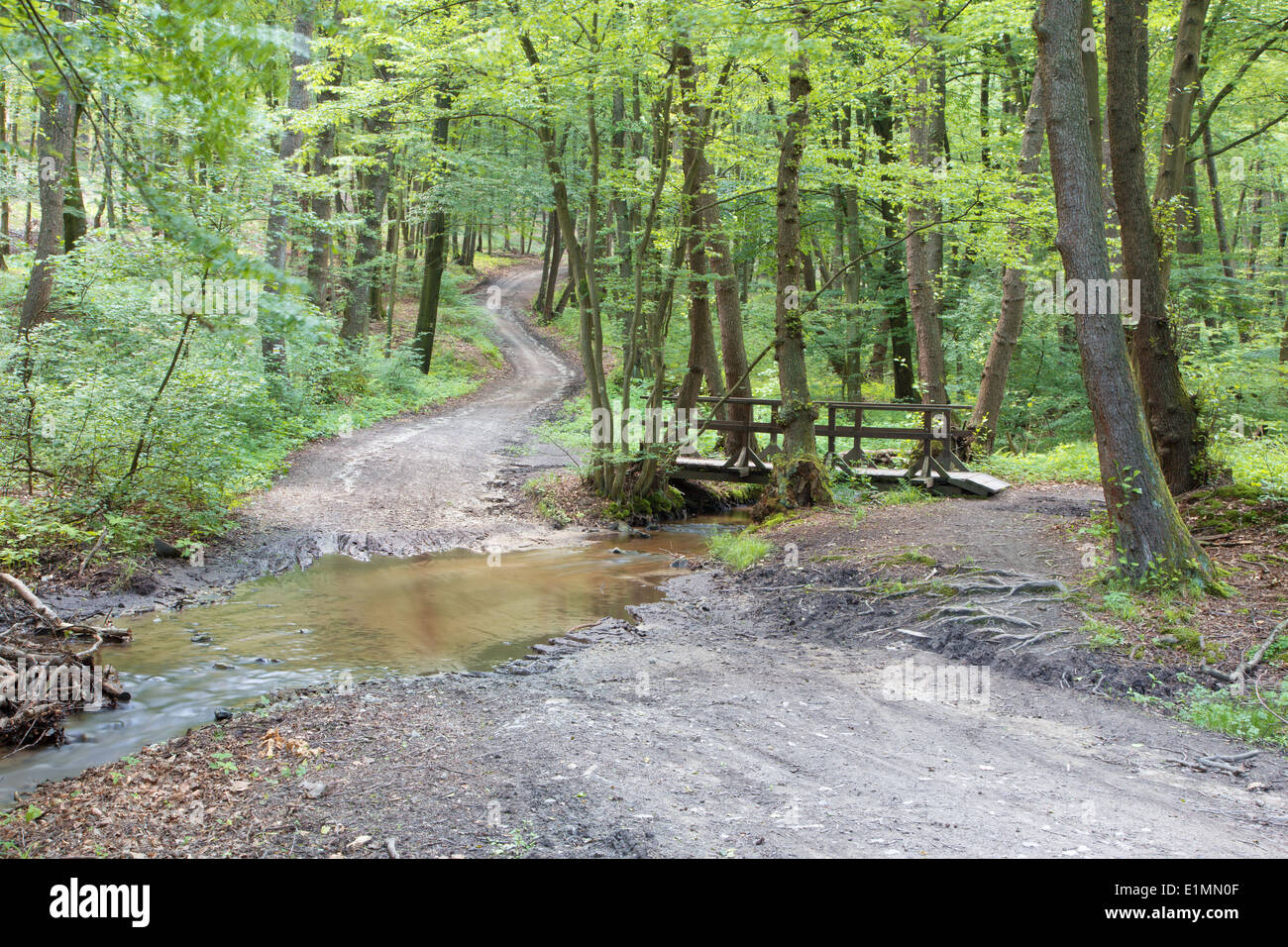 Weise und kleine Brücke im Frühlingswald in kleinen Karpaten - Slowakei Stockfoto