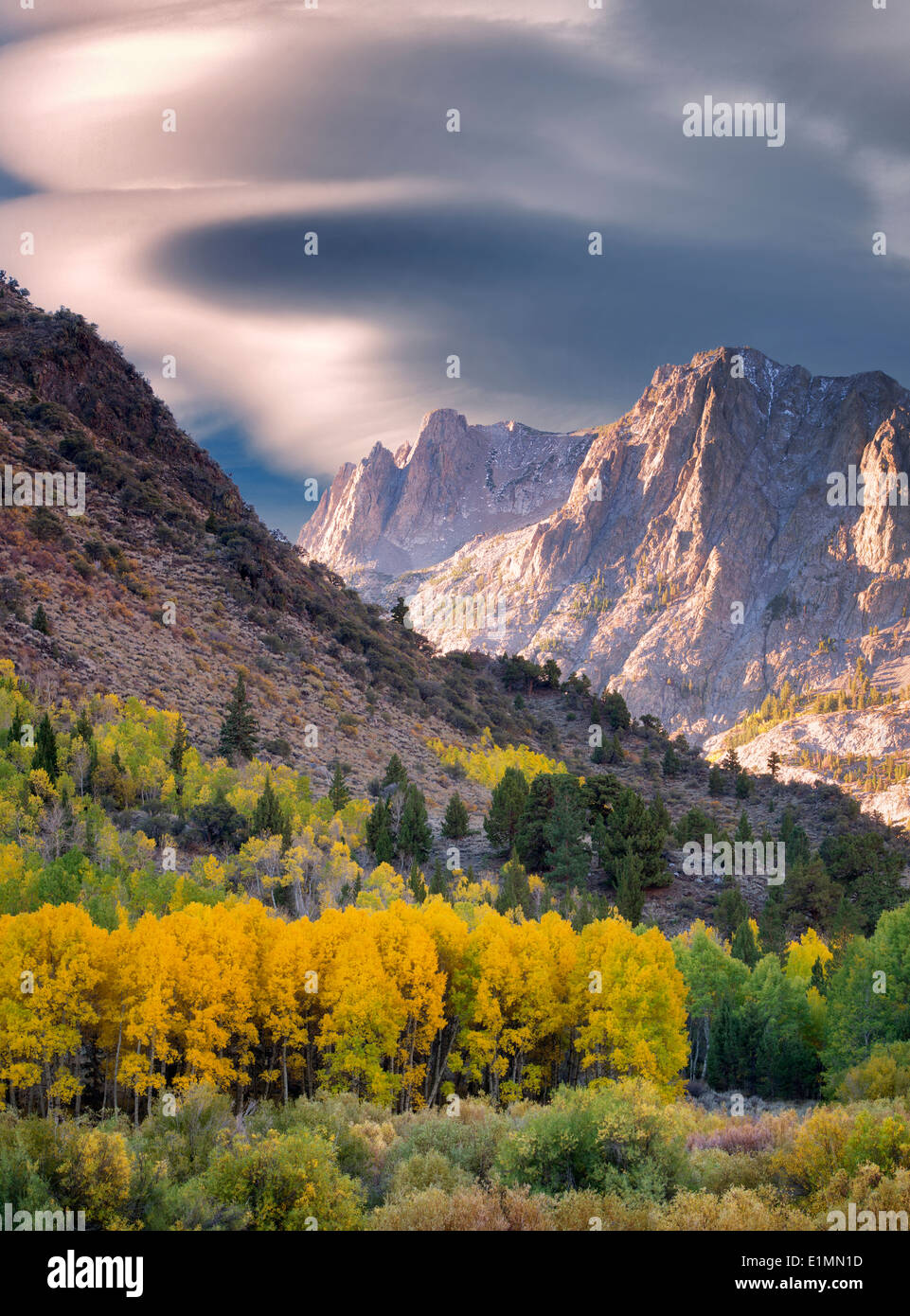 Espe Bäume in Herbstfarben und die Berge rund um Juni Seen Loop.Eastern Sierra Nevada Mountains, Kalifornien Stockfoto
