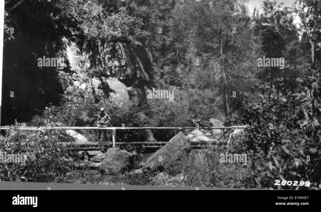 Dieses historische Schwarzweiß-Bild zeigt den Campground Creek im Santa Fe National Forest. Die Szene zeigt die vielfältigen Bäume, Wasserquellen und die Rolle des Naturschutzes in den Jemez-Bergen. Stockfoto