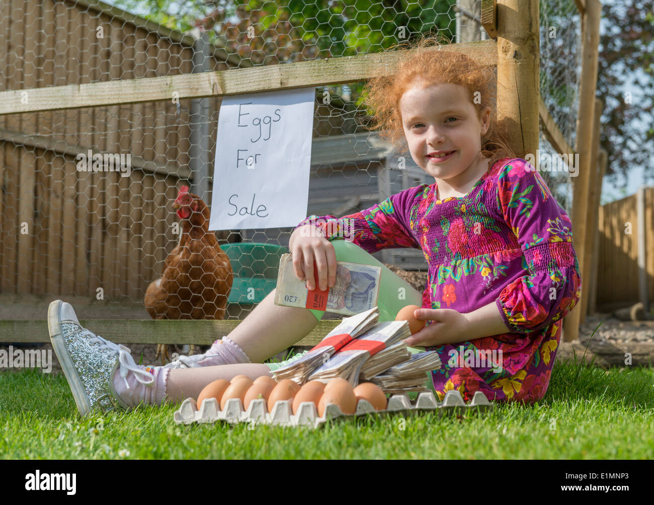 Kleine Mädchen Unternehmer sitzt mit Tausende von Pfund, während Hennen Eiern verkaufen. Stockfoto