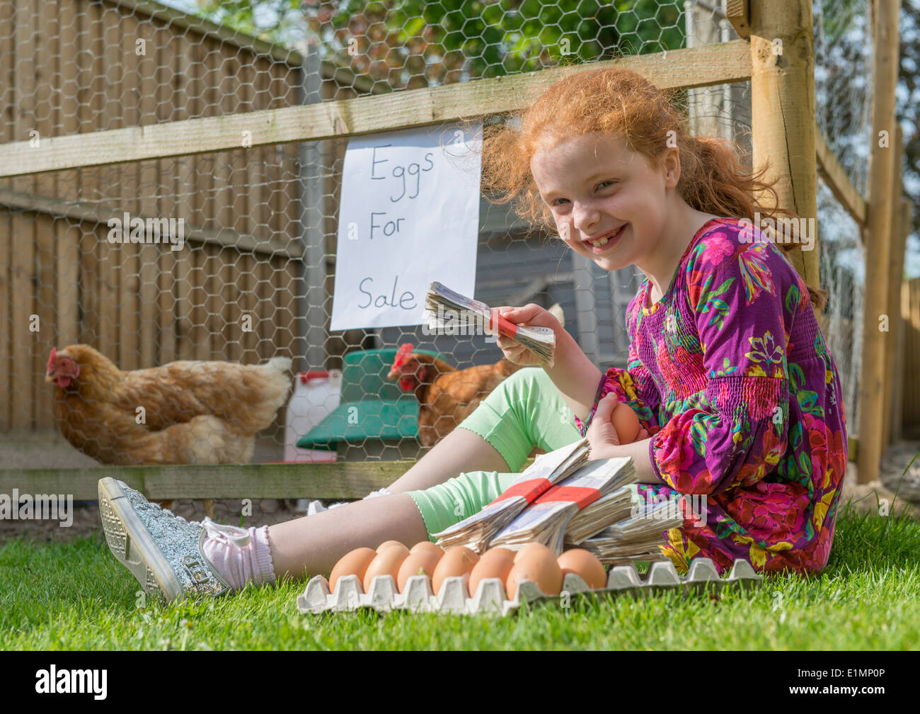 Kleine Mädchen Unternehmer sitzt mit Tausende von Pfund, während Hennen Eiern verkaufen. Stockfoto