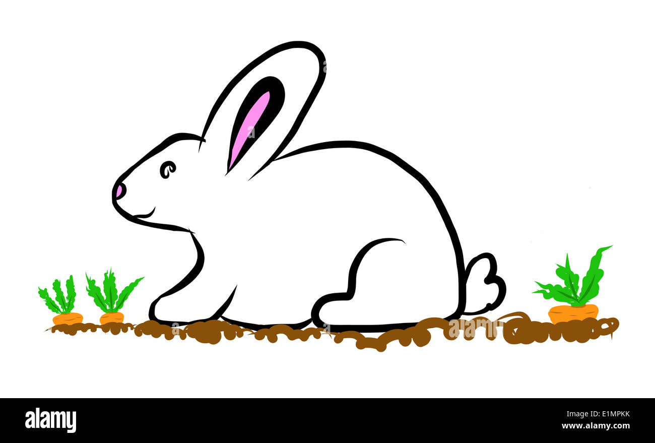 Abbildung von einem weißen Kaninchen in einem Karotten-patch Stockfoto