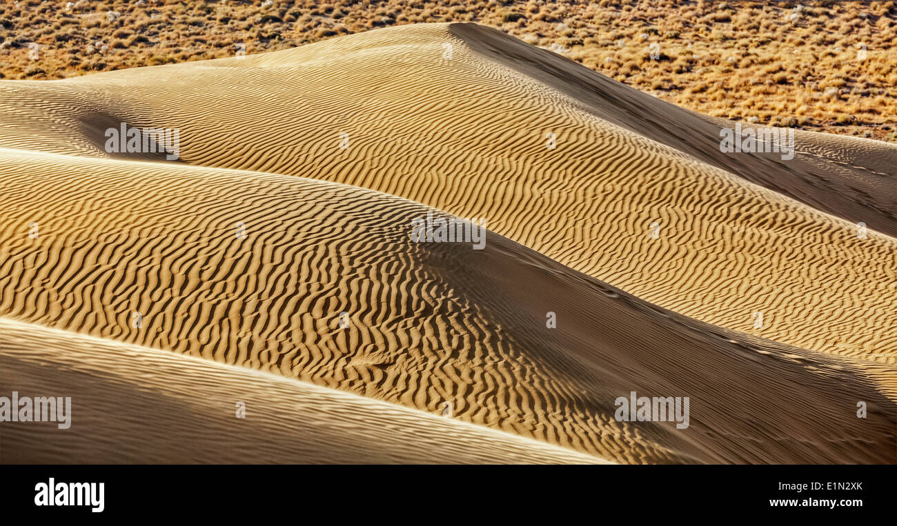 Dünen der Wüste Thar, Rajasthan Indien Stockfoto