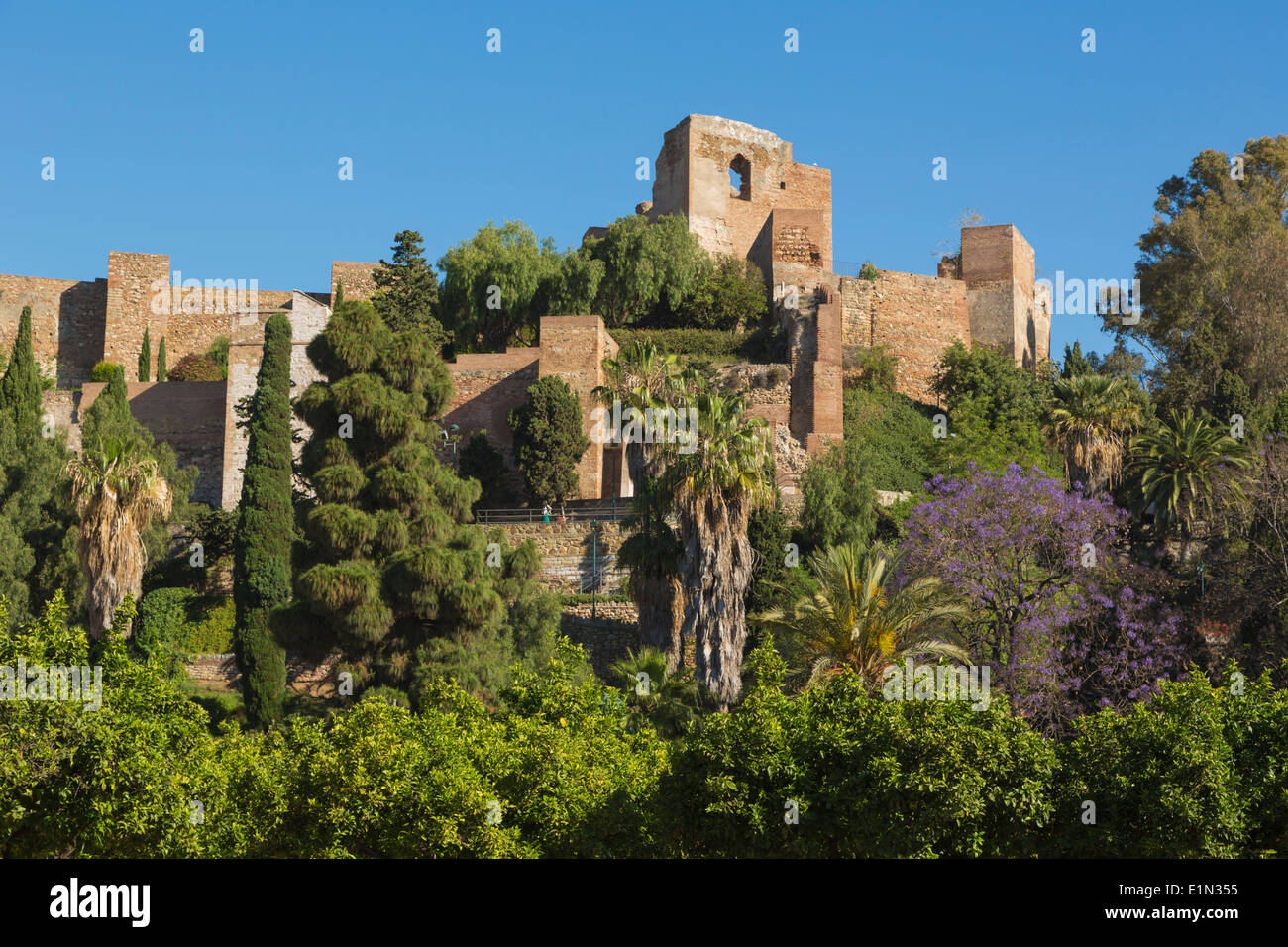 Malaga, Provinz Malaga, Costa Del Sol, Andalusien, Südspanien. Die maurischen Alcazaba, oder Festung. Stockfoto