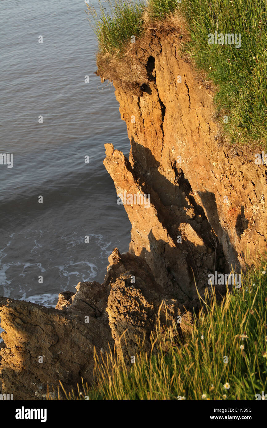 Clay Cliff Erosion durch das Meer-Aktion an der Ostküste von Yorkshire, Großbritannien. Stockfoto