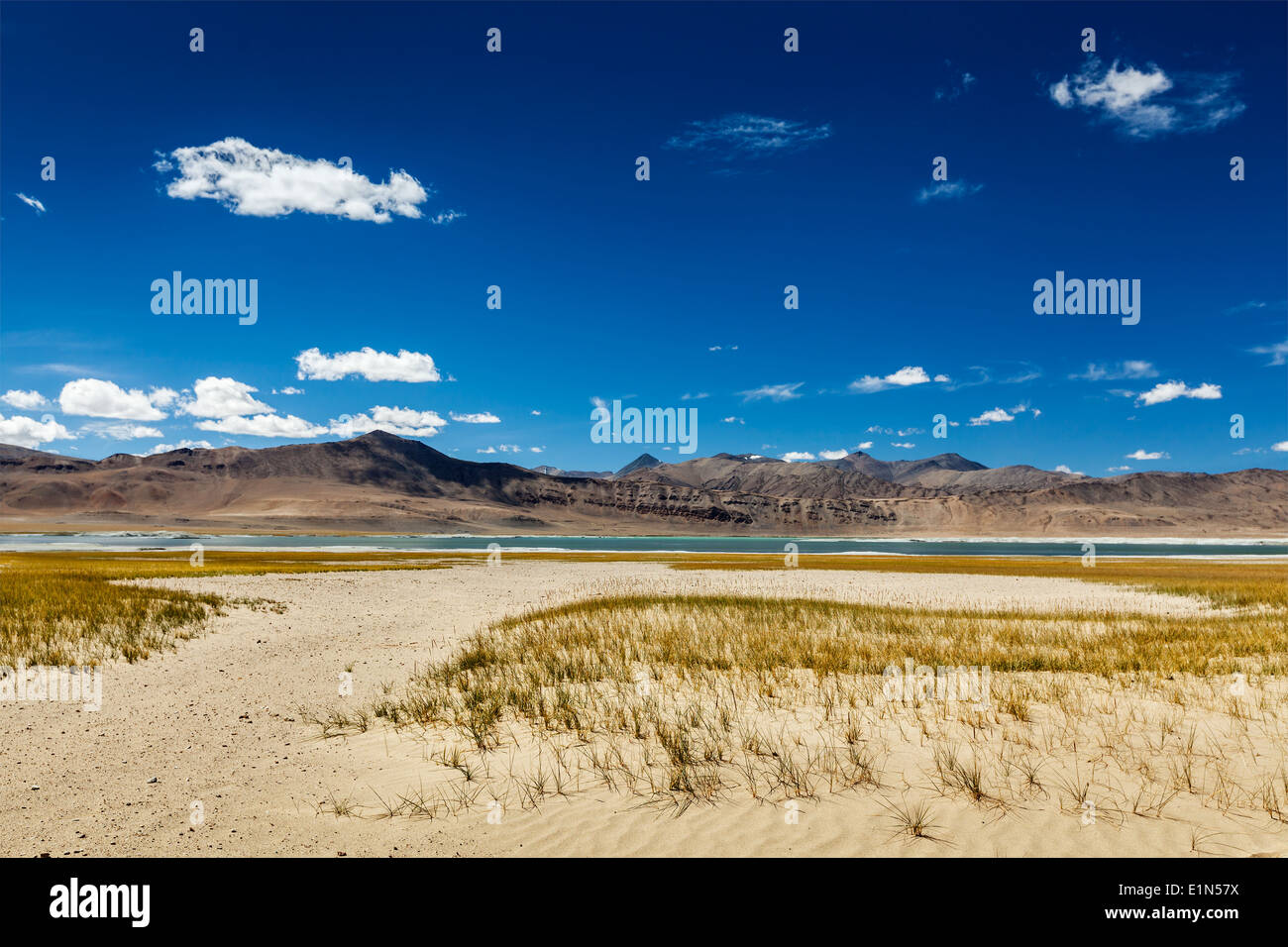 Tso Kar - schwankende Salzsee im Himalaya. Rapshu, Ladakh, Jammu und Kaschmir, Indien Stockfoto