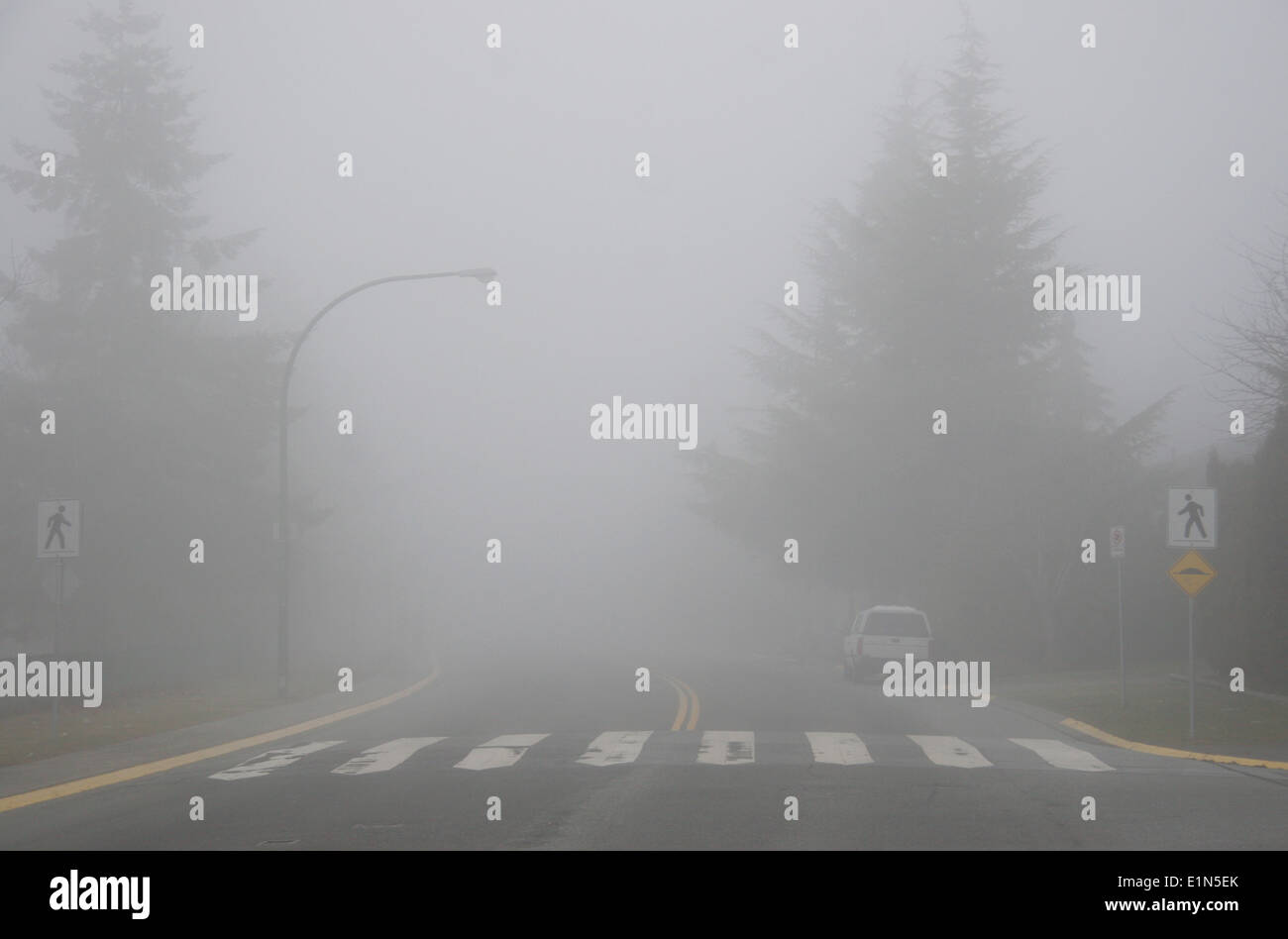 Dichter Nebel verdeckt einen Fußgängerüberweg in Delta, British Columbia, Kanada Stockfoto