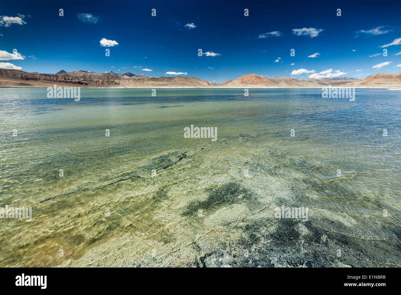 Tso Kar - schwankende Salzsee im Himalaya. Rapshu, Ladakh, Jammu und Kaschmir, Indien Stockfoto