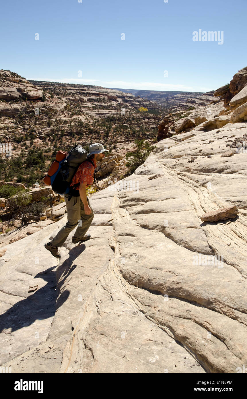 Backpacker aufsteigender Sandstein Hang im südlichen Utah. Stockfoto