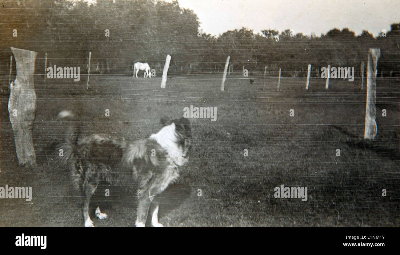 Foto aus der Louis E. Slim Gordon Special Collection, die bedeutende militärische Geschichte oder Ereignisse im Zusammenhang mit der Luftfahrt zeigt, die in Gordons fotografischen Arbeiten aufgenommen wurden. Stockfoto