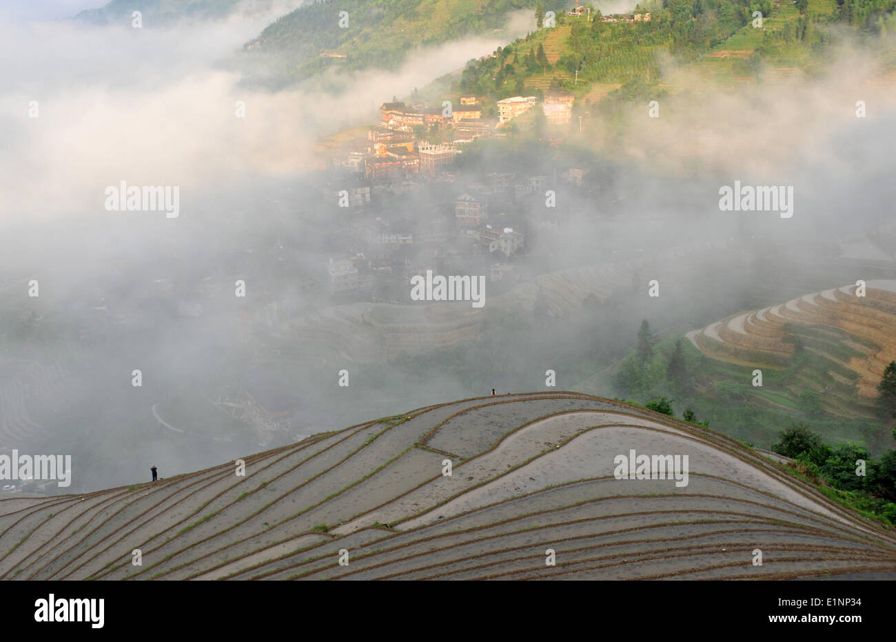 Guangxi Zhuang Autonome Region Longsheng, China. 7. Juni 2014. Nebel decken Terrassen in Ping'an Dorf von Longji Township in Longsheng County, South China Autonome Region Guangxi Zhuang, 7. Juni 2014. © Lu Bo'an/Xinhua/Alamy Live-Nachrichten Stockfoto
