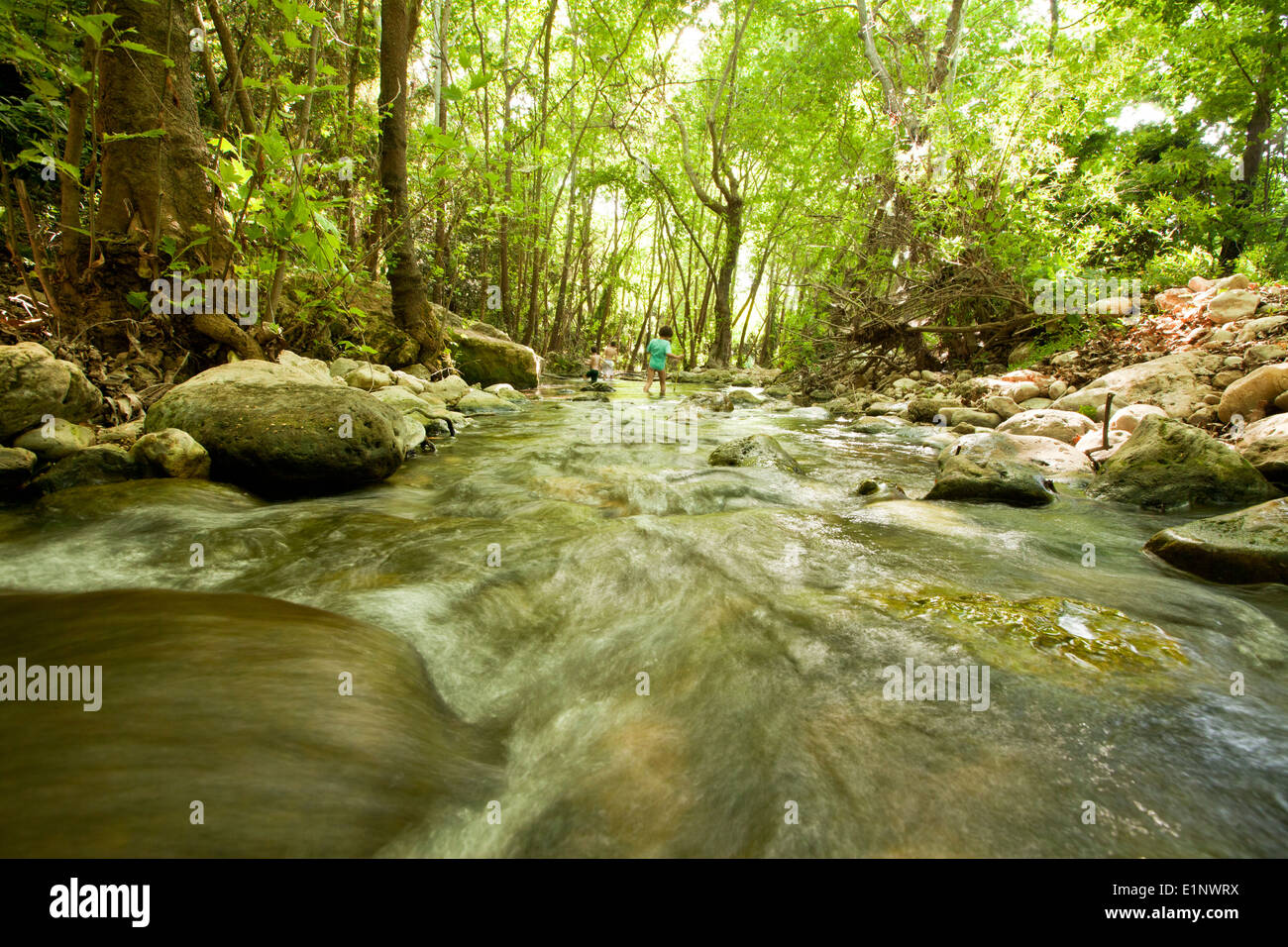 Hermon Stream Natur Reservat (Banias) Golanhöhen Israel dieser Stream ist eine der Quellen des Jordans Stockfoto