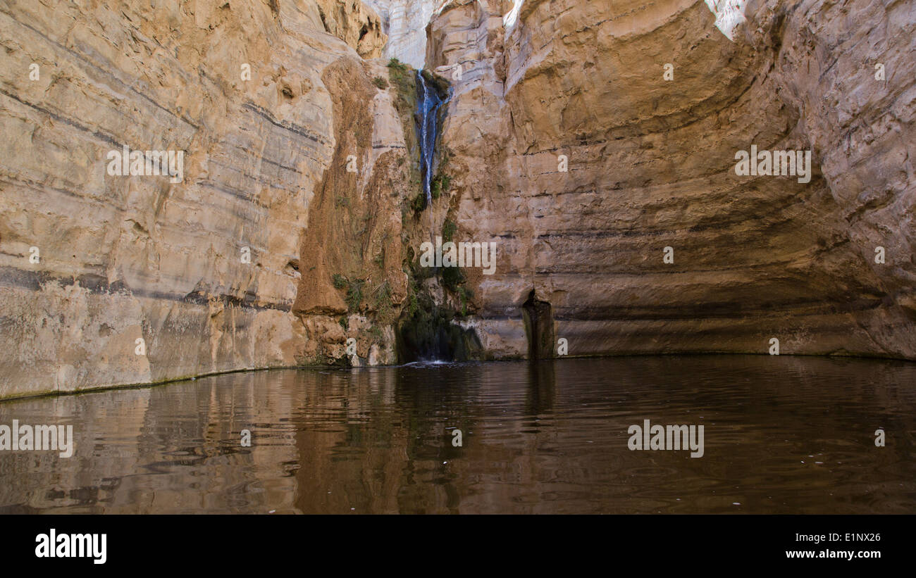 Ein Avdat, süße Wasserquelle in der Wüste Negev, israel Stockfoto