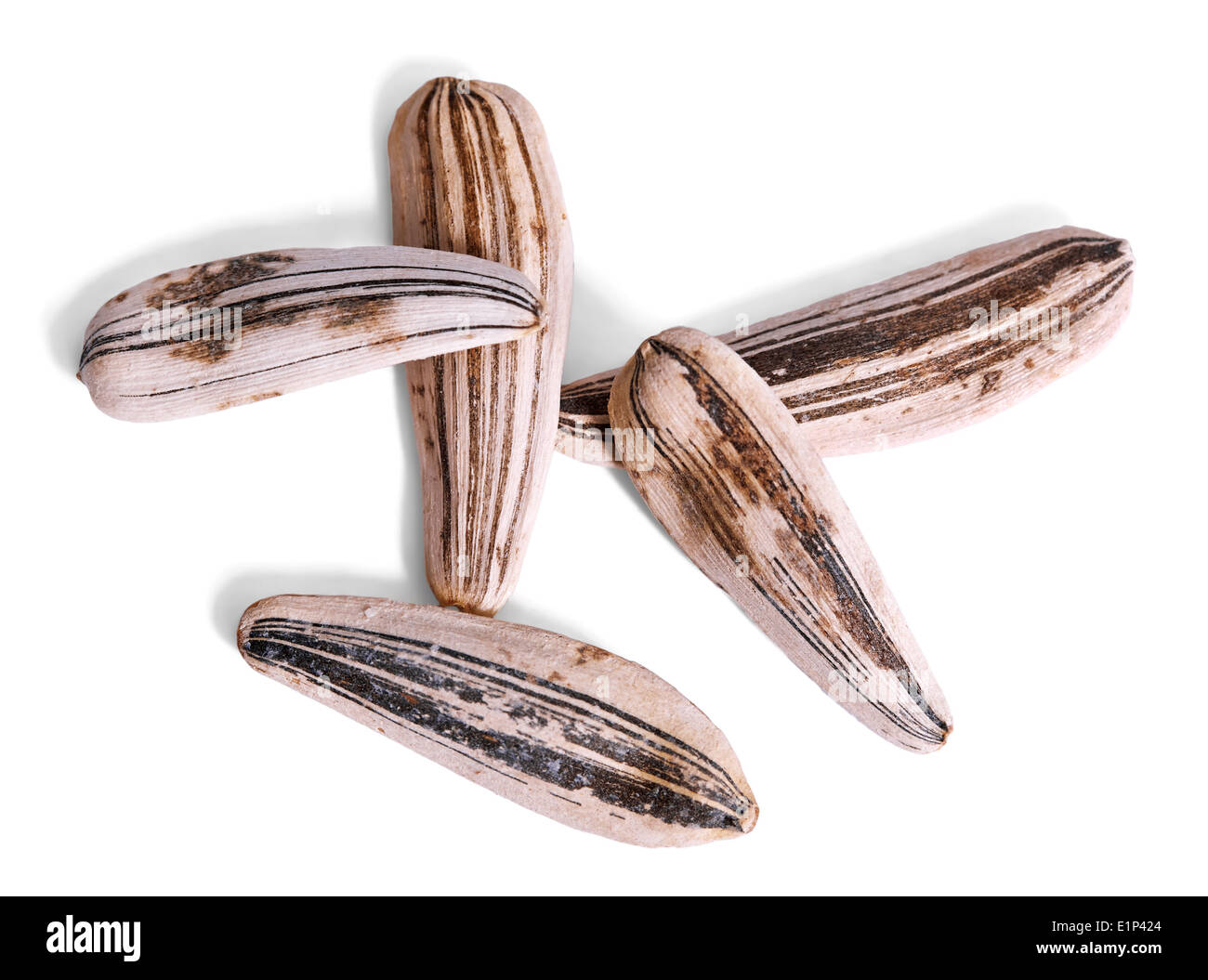 Sonnenblumenkerne Makro auf einem weißen Hintergrund isoliert Stockfoto