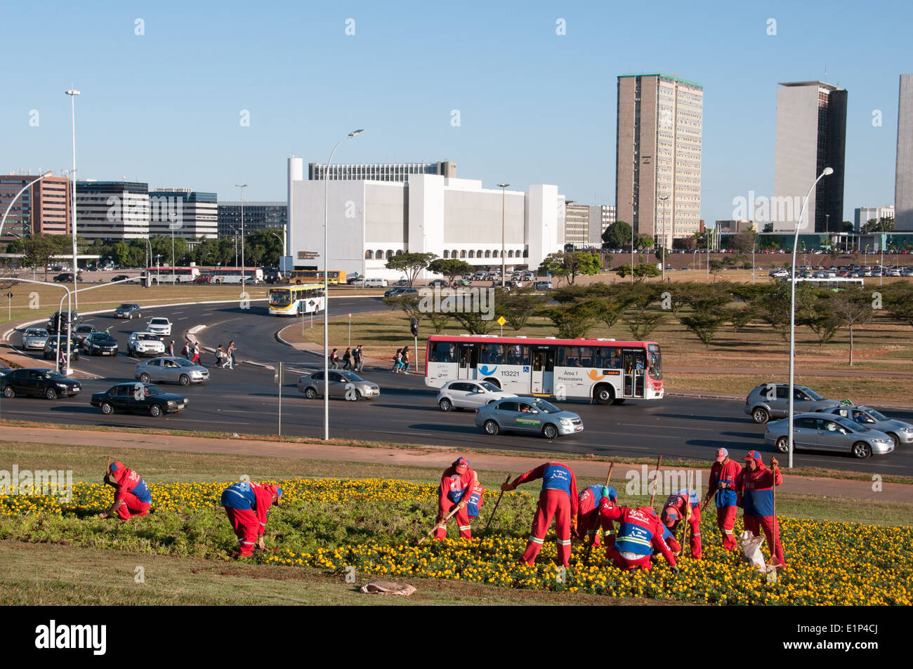 Städtische Angestellte, die Teilnahme an den Blumen und Rasen der Innenstadt von Brasilia Stockfoto