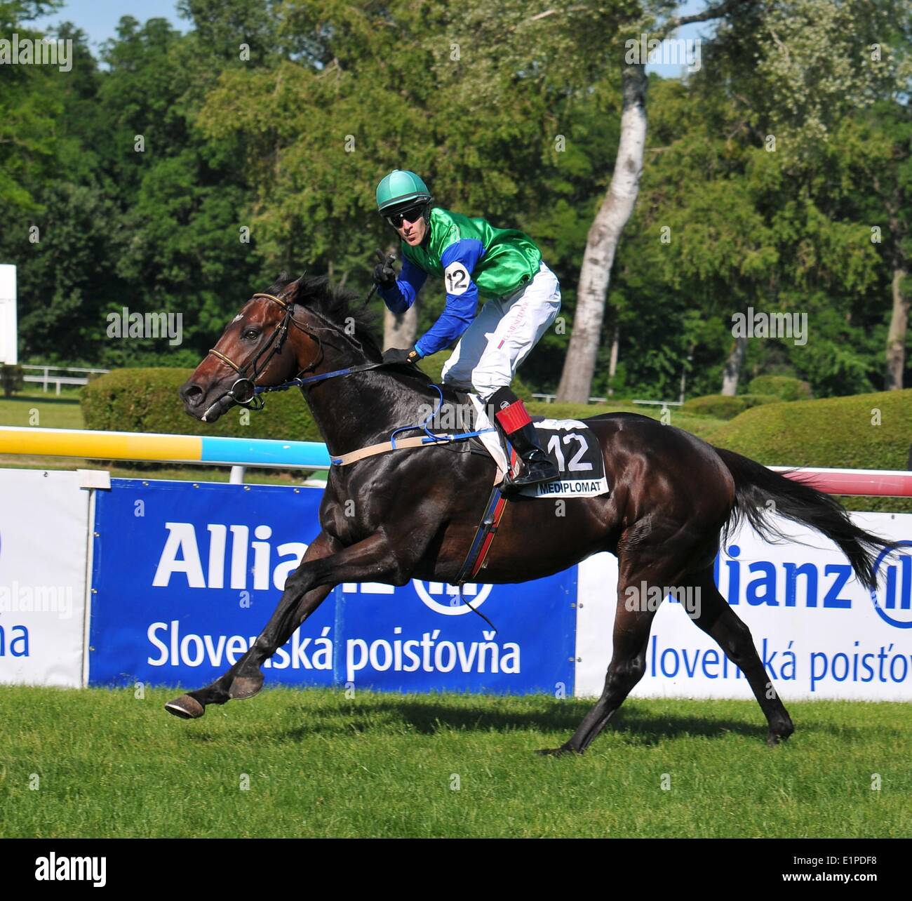 Bratislava, Slowakei, 8. Juni 2014. Mediplomat (GB, jockey Goran Mesetovic) gewinnt das schottische Rifl Rennen. XXXVI Jahrestag der Turf-Gala Derby umfasst die Slowakei (Allianz-slowakische Versicherung Grand Prix), der Prix des slowakischen Minestry für wirtschaftliche Entwicklung und mehrere andere Rassen wurden in diesem Sommer Sonntag abgehalten. Stockfoto