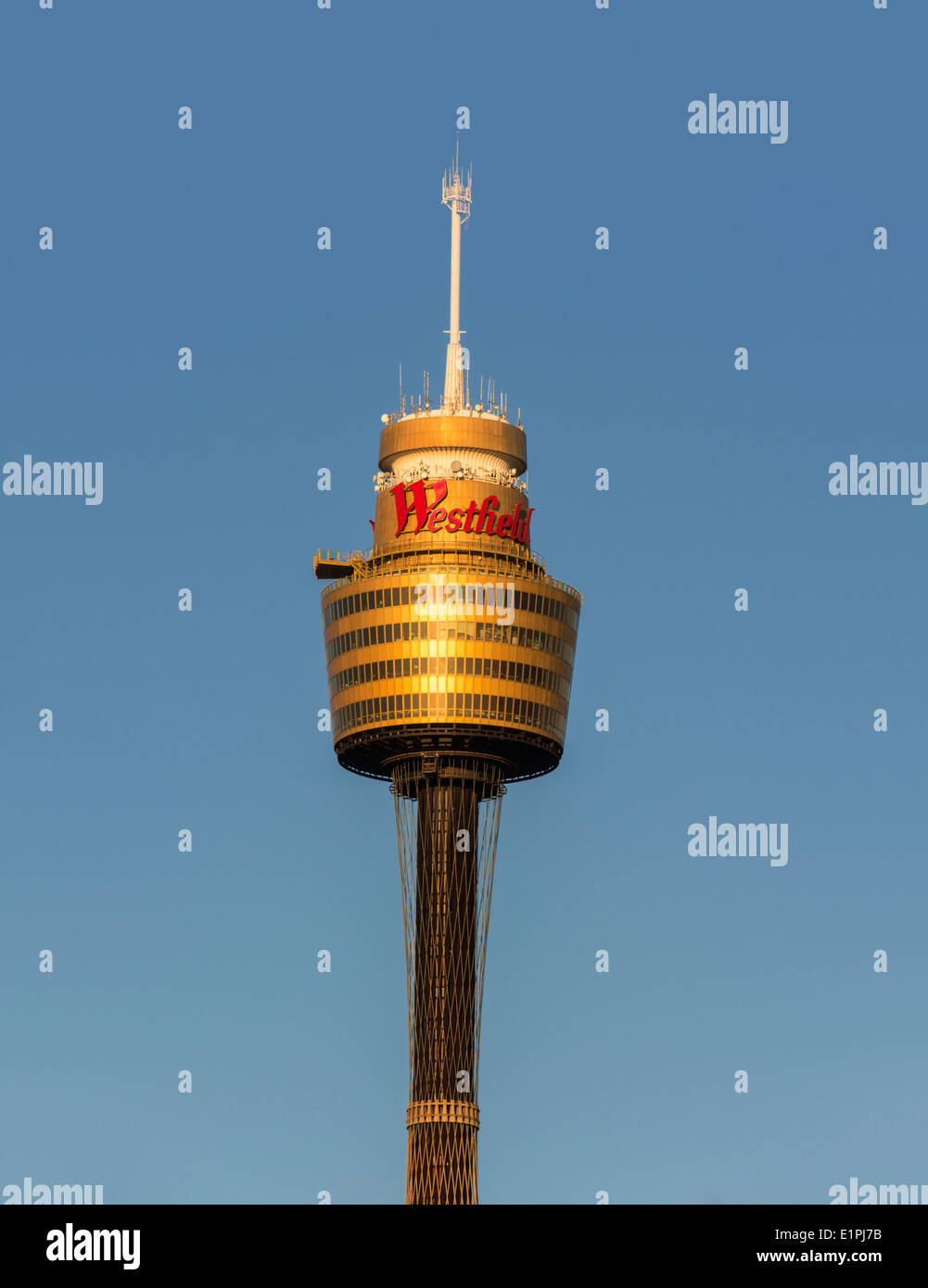 Nahaufnahme Foto von SydneyTower, lichtdurchfluteten golden Afternoon, Sydney, Australien Stockfoto