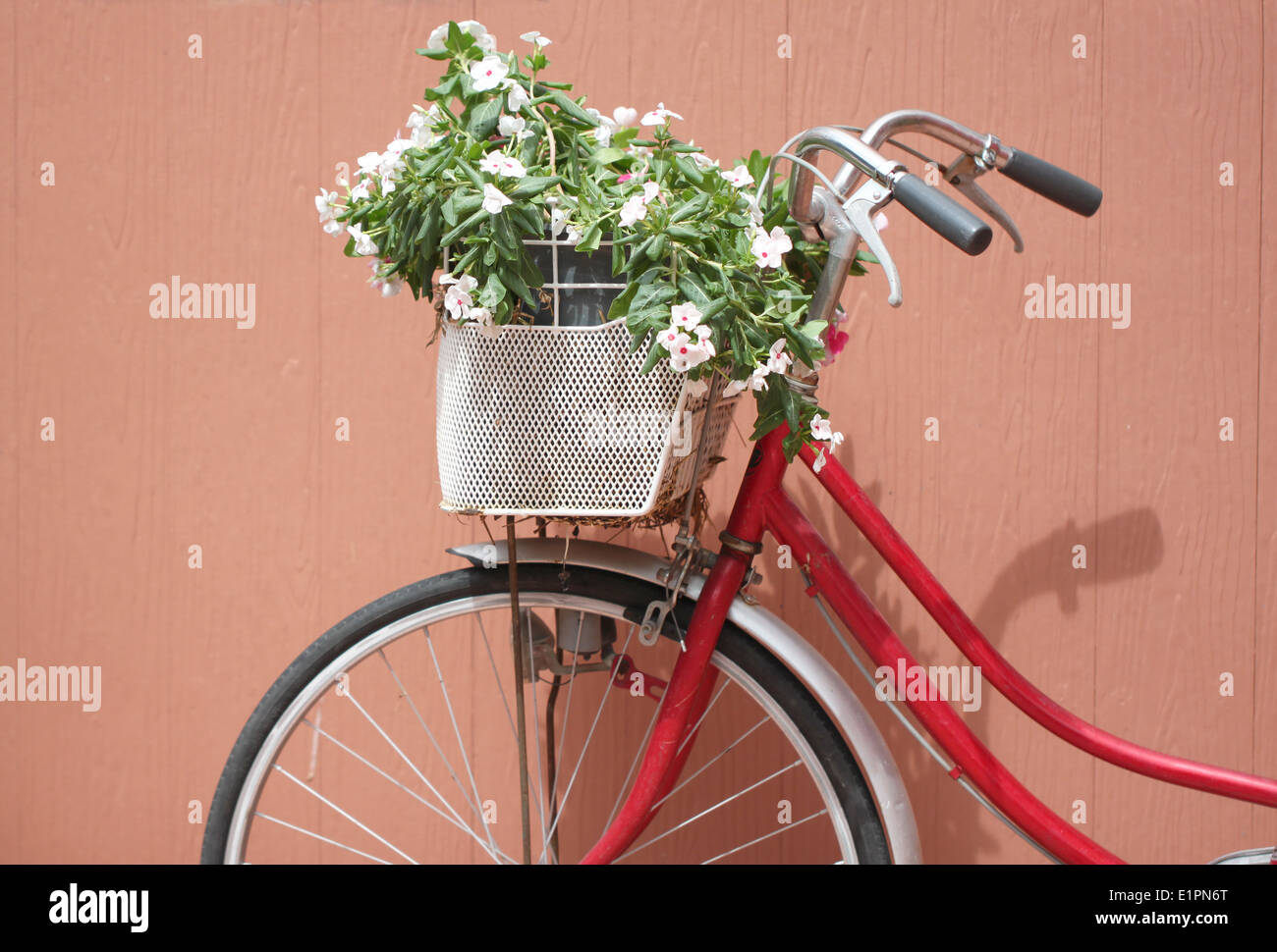 Roten Fahrrad und rosa Blüten in den Korb vorn. Stockfoto