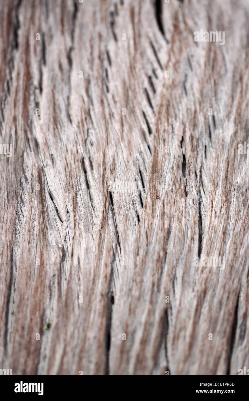 ungleichmäßige texturiert aus alten Holz für den Hintergrund. Stockfoto