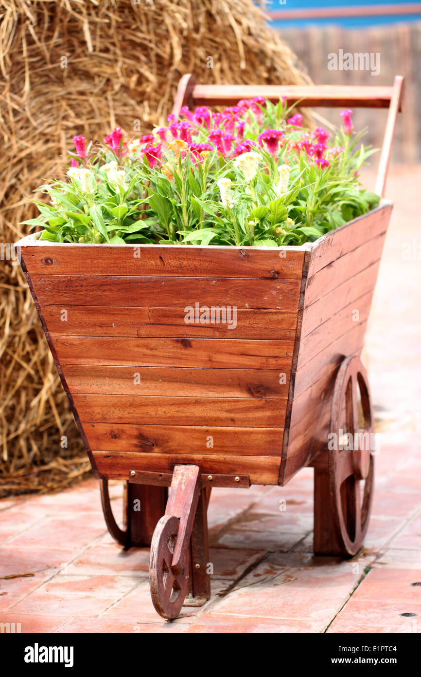 alten Holzkarren pflanzten Blumen in der Farm. Stockfoto