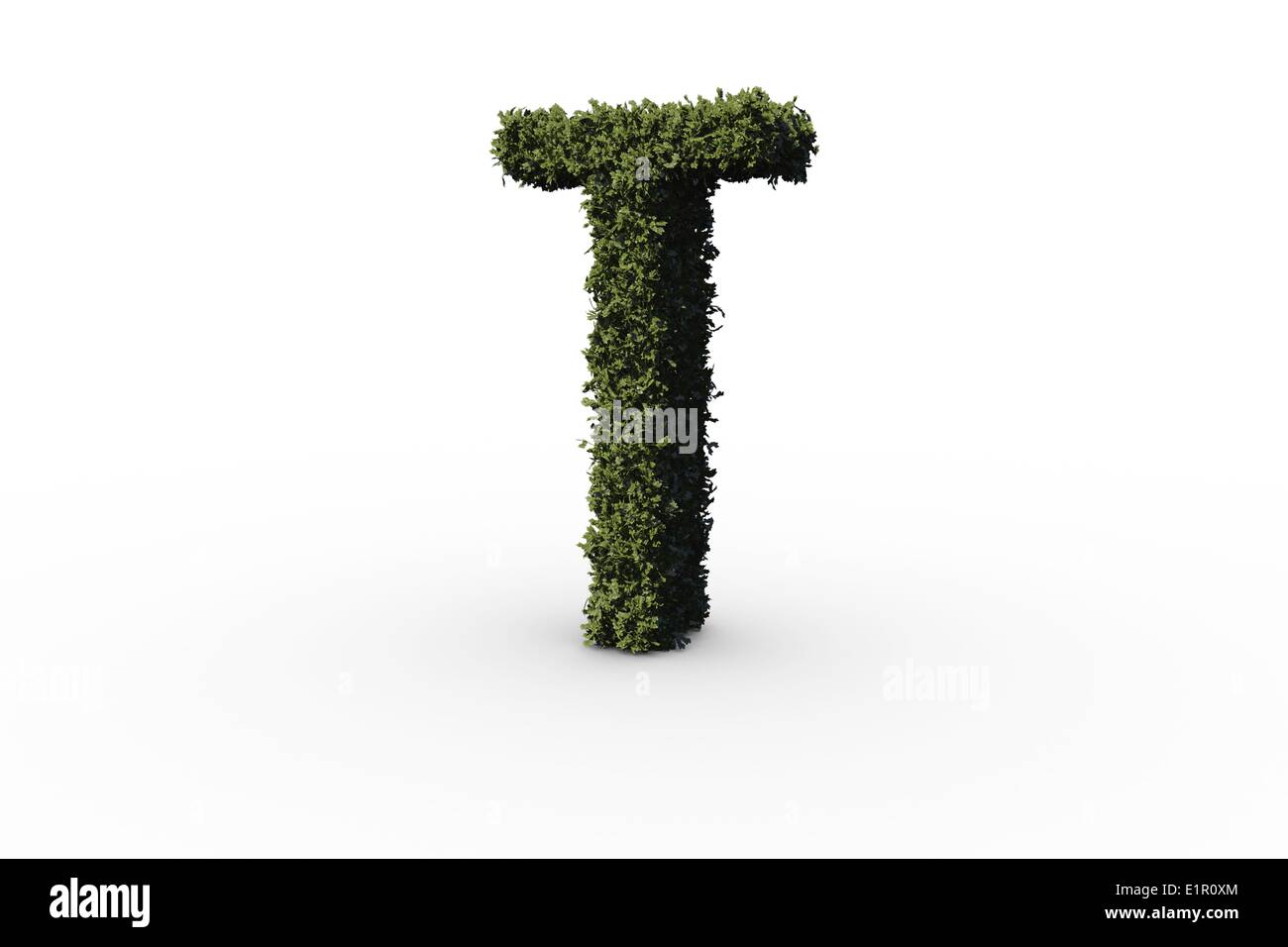 Buchstabe t machte der Blätter Stockfoto