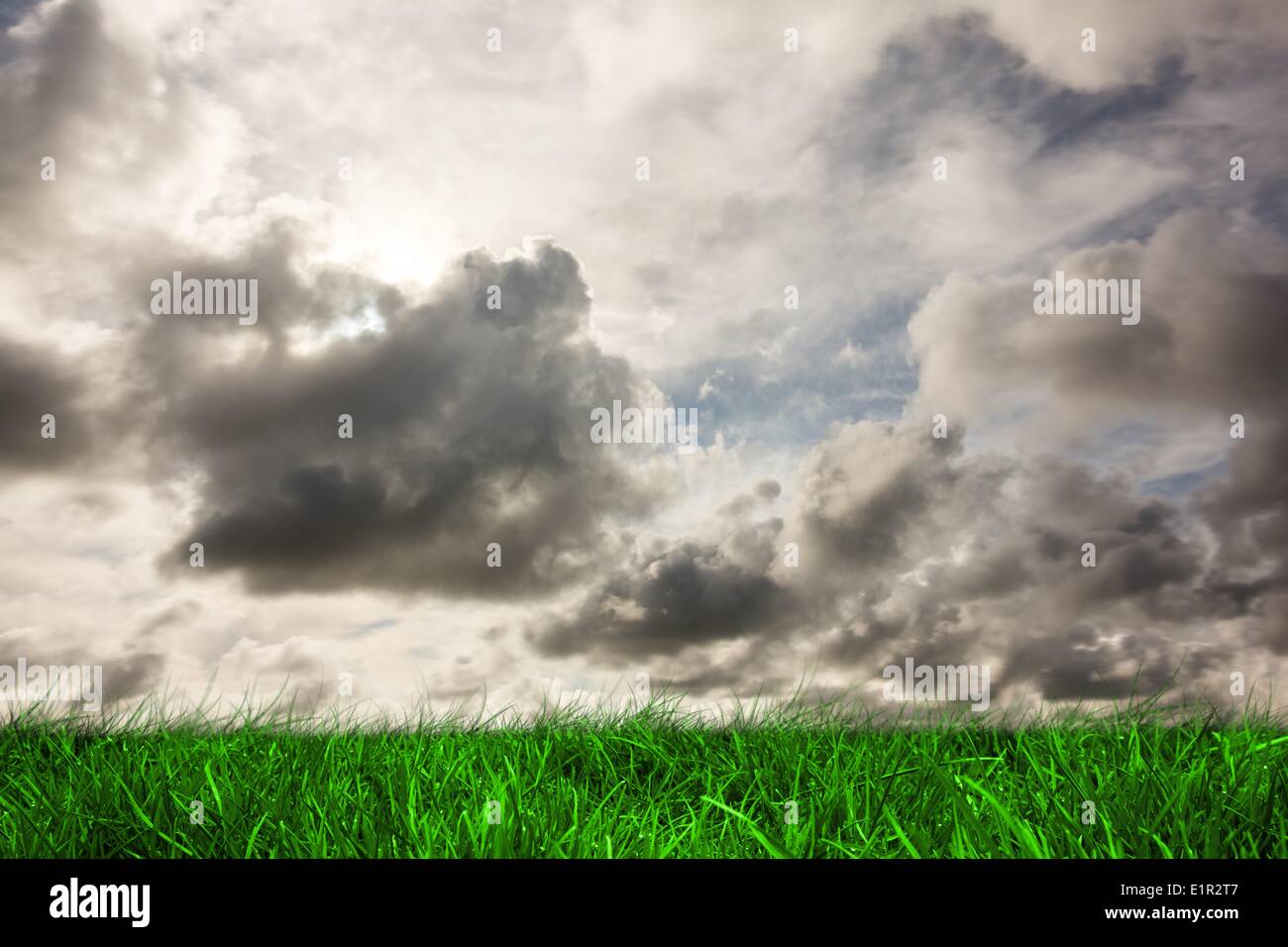 Grüne Wiese unter grauem Himmel Stockfoto
