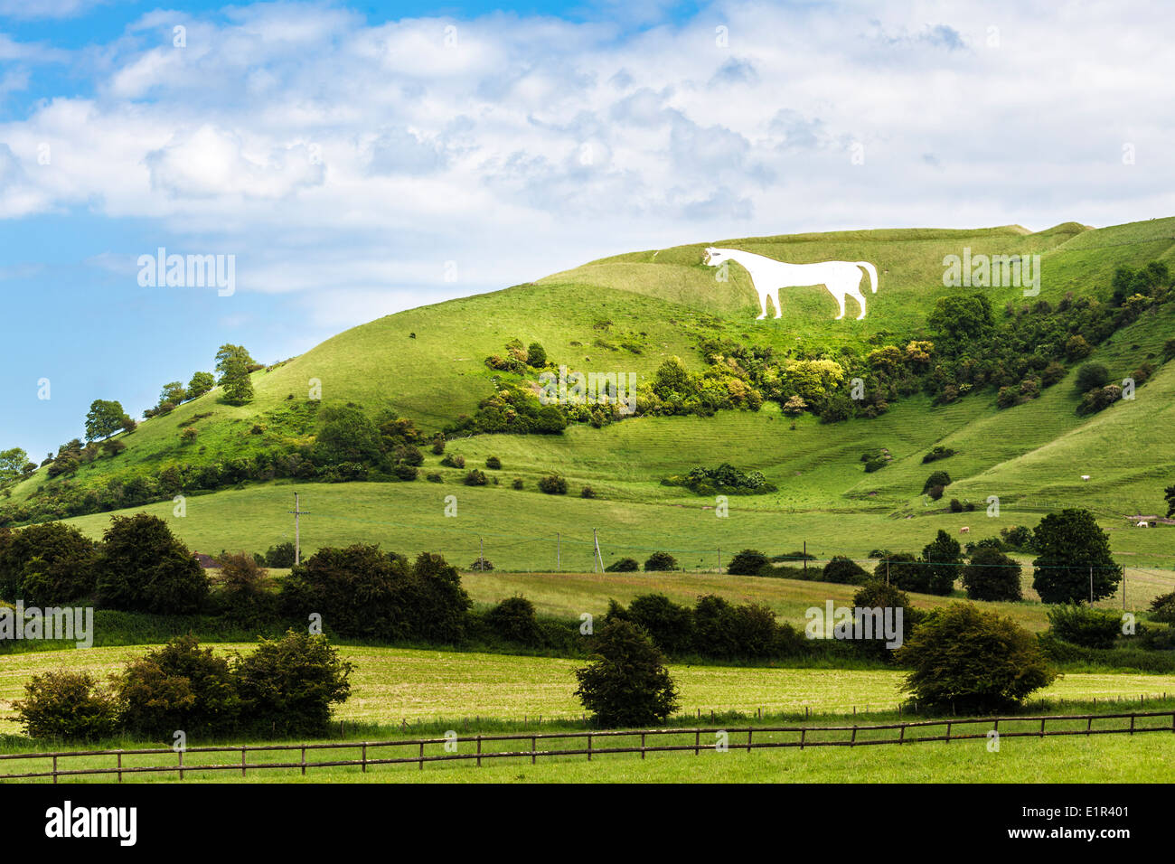 Das weiße Pferd unter Bratton Camp, eine Eisenzeit Burgberg in der Nähe von Westbury in Wiltshire. Stockfoto