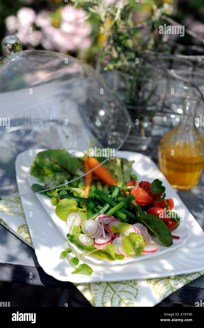 Knackige Gemüse Frühlingssalat mit Zitrusfrucht-vinaigrette Stockfoto