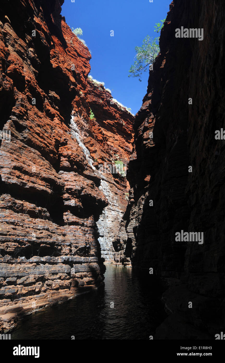 Schmale rote Felswände des Joffre Gorge, Karijini-Nationalpark, Hamersley Range, Pilbara, Western Australia Stockfoto