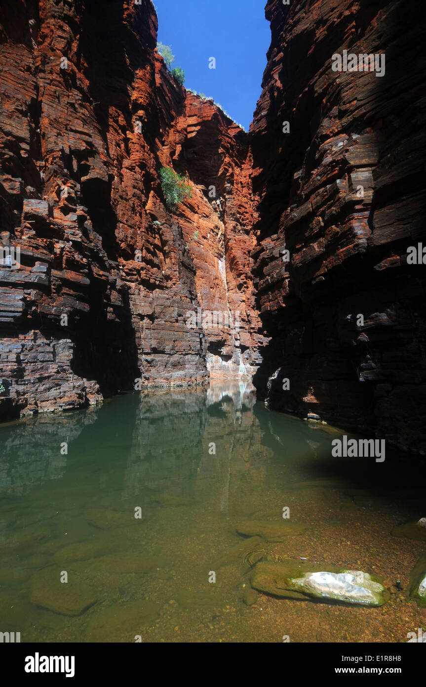 Schmale rote Felswände des Joffre Gorge, Karijini-Nationalpark, Hamersley Range, Pilbara, Western Australia Stockfoto