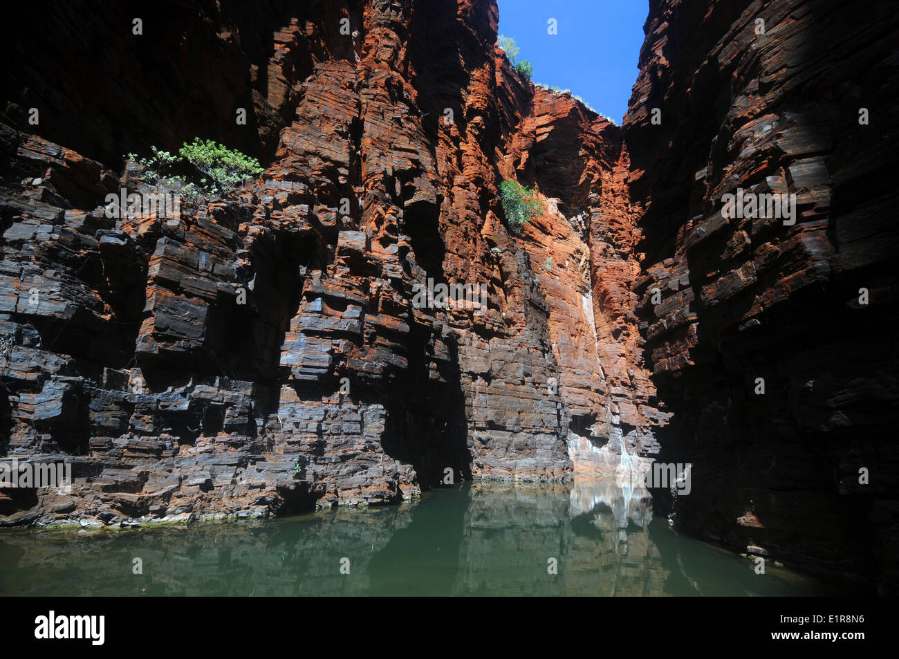 Schmale rote Felswände des Joffre Gorge, Karijini-Nationalpark, Hamersley Range, Pilbara, Western Australia Stockfoto