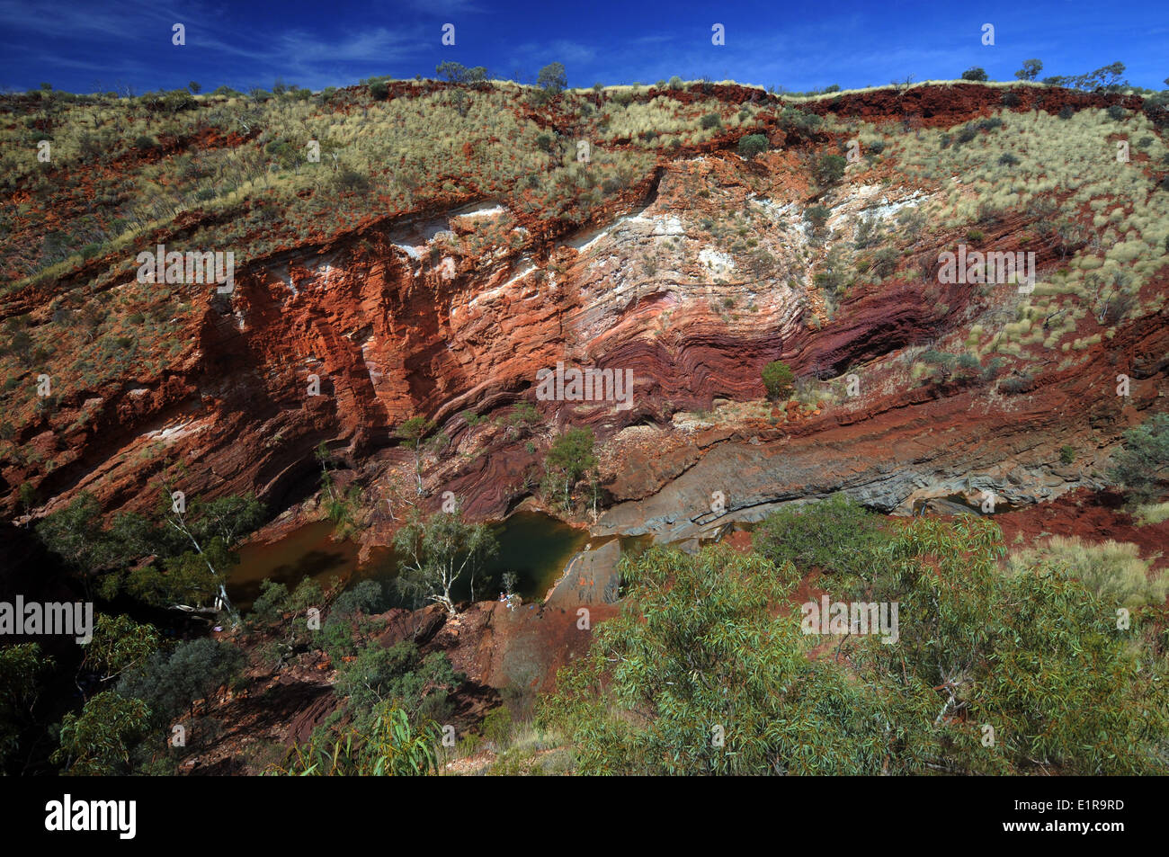 Spektakuläre gebänderten Eisenstein Formationen der Hamersley Gorge, Karijini-Nationalpark Region Pilbara, Western Australia Stockfoto
