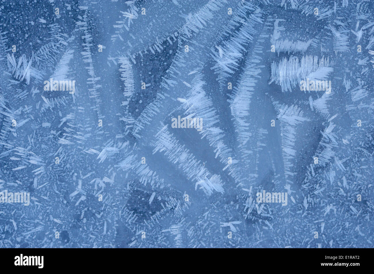 Muster der Frost auf dem Eis Stockfoto