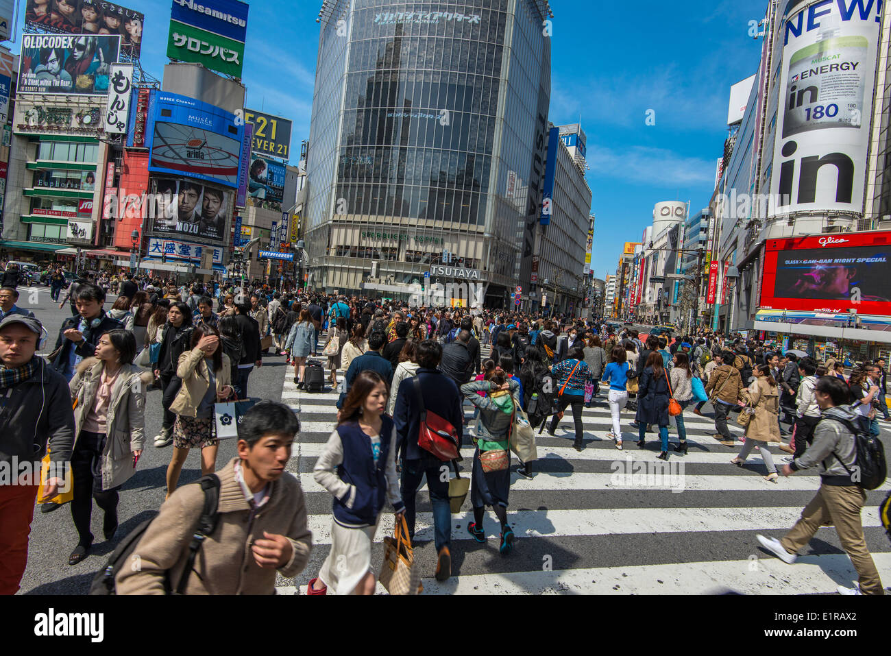 Fußgänger überqueren die Straße an der Kreuzung Shibuya, Tokyo, Japan Stockfoto