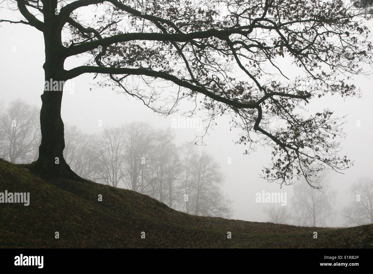 Die Überreste einer frühen mittelalterlichen Festung im Nebel Stockfoto