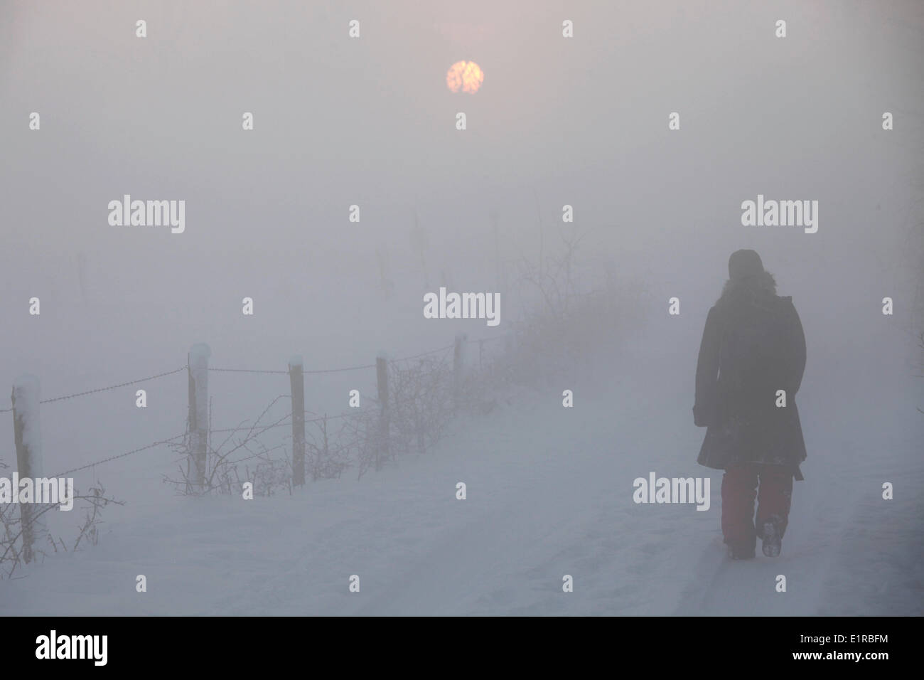 Foto von einem Wanderer im Winter in der Oeffelter Meent mit einem Sonnenuntergang über eine Schneelandschaft mit Nebel Stockfoto