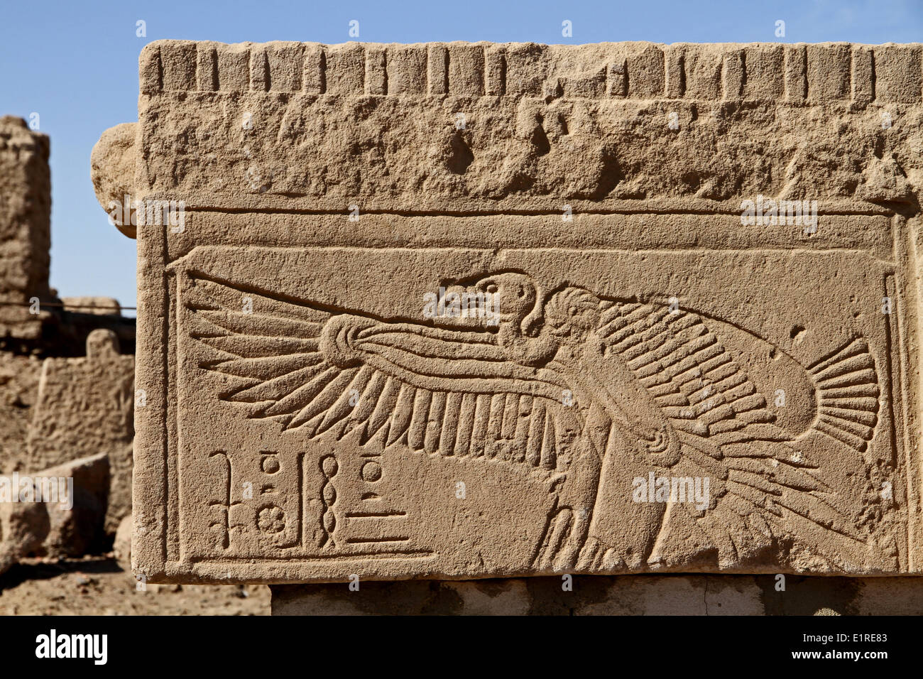 Bild von einem Geier auf Stein am Abu Ruinen auf Elephantine Island, Ägypten Stockfoto