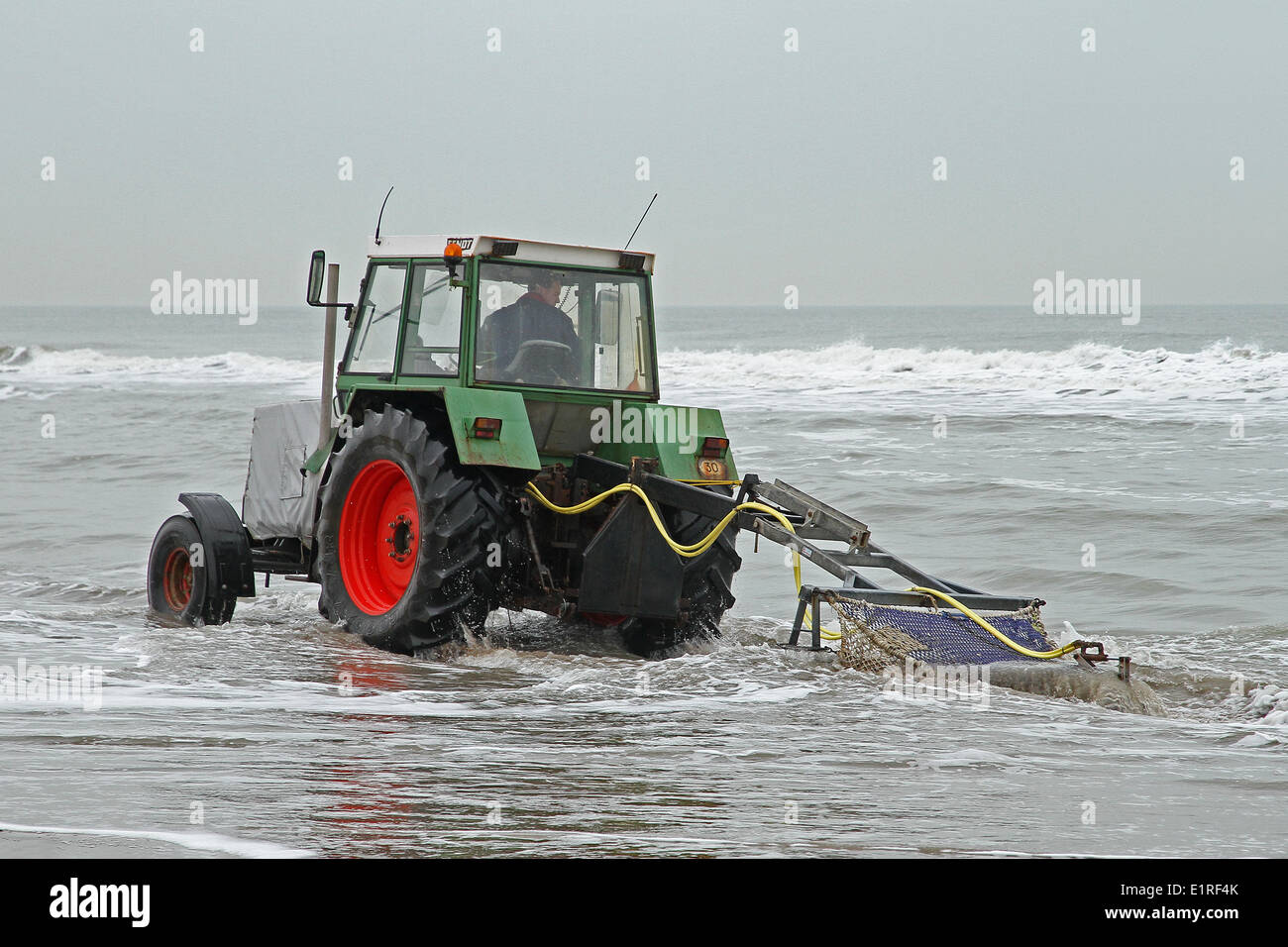 Sammeln von Muscheln mit ziehen entlang des Strandes Netto Stockfoto