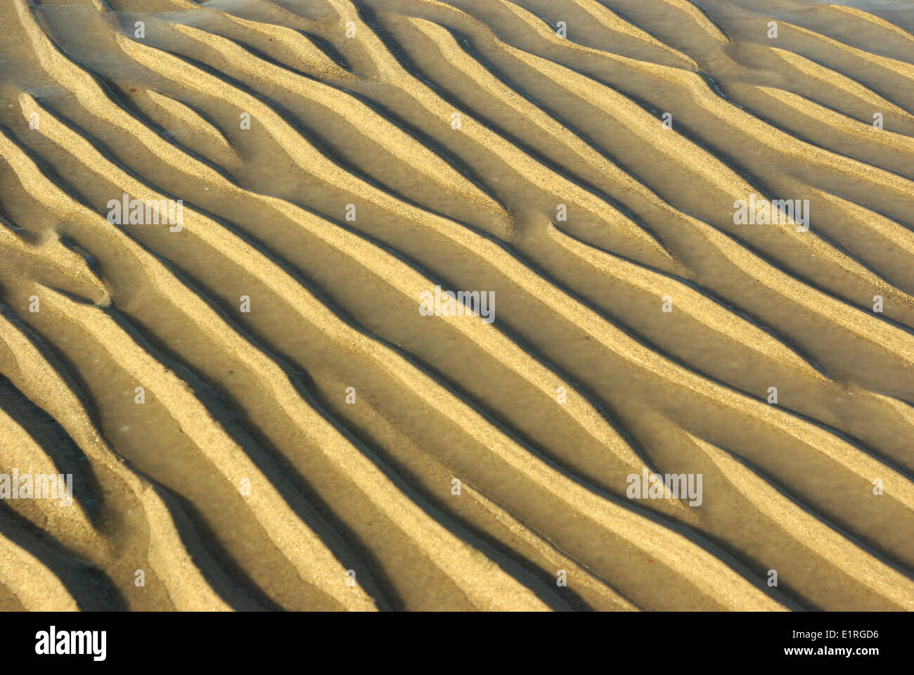 Gold farbigen Sand Muster Stockfoto