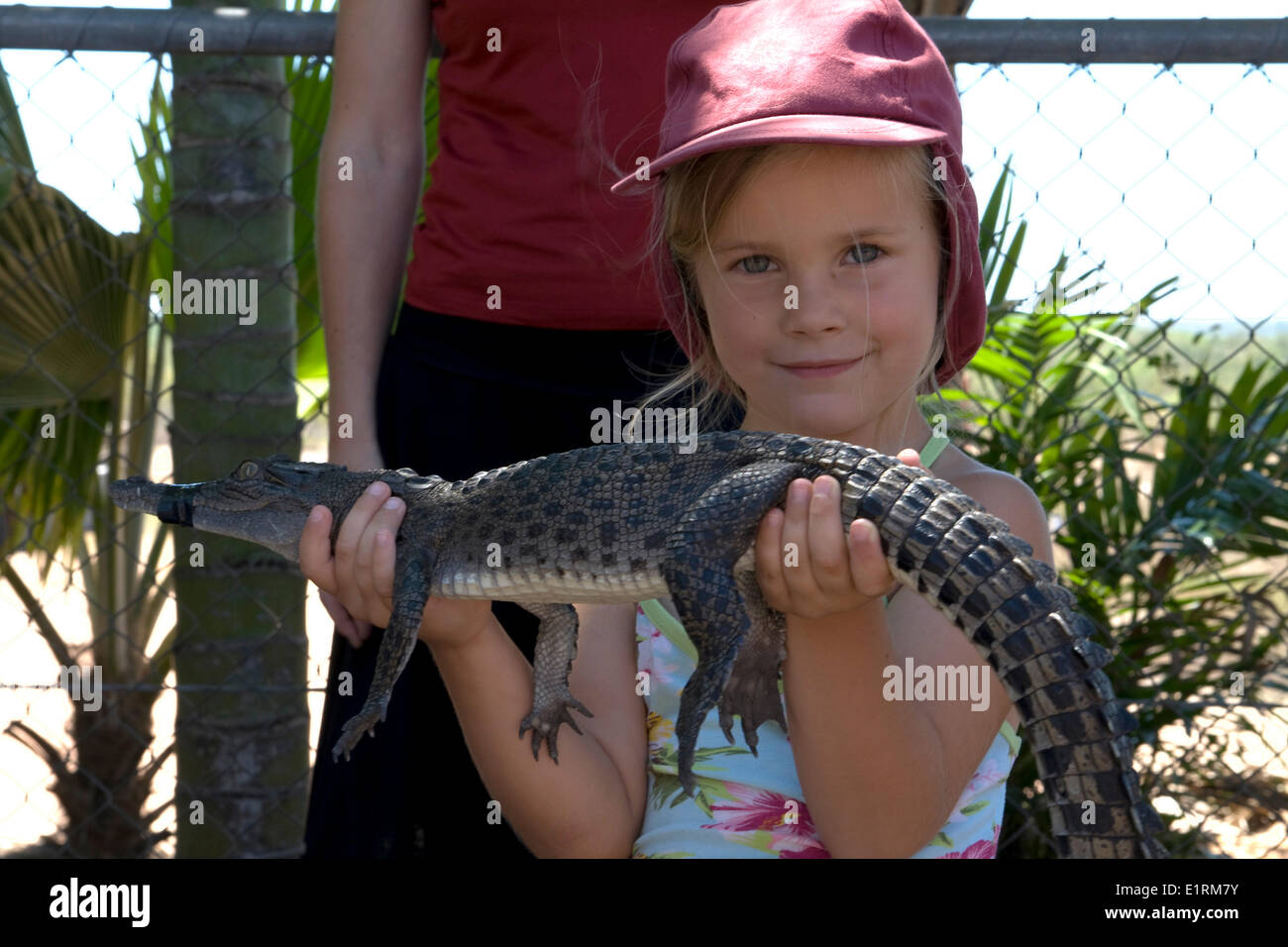 Dieses Foto ist bei einer Krokodil-Farm in Darwin. Es ist unmöglich, in der Nähe von grossen Salties in freier Wildbahn zu bekommen, ohne sich selbst getötet, so ist dies der einzig sichere Weg, sie zu fotografieren. Stockfoto