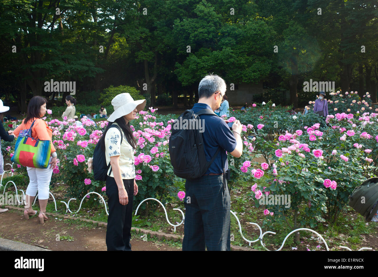 Tokyo Japan 2014 - älteres Ehepaar fotografieren im Yoyogi-park Stockfoto