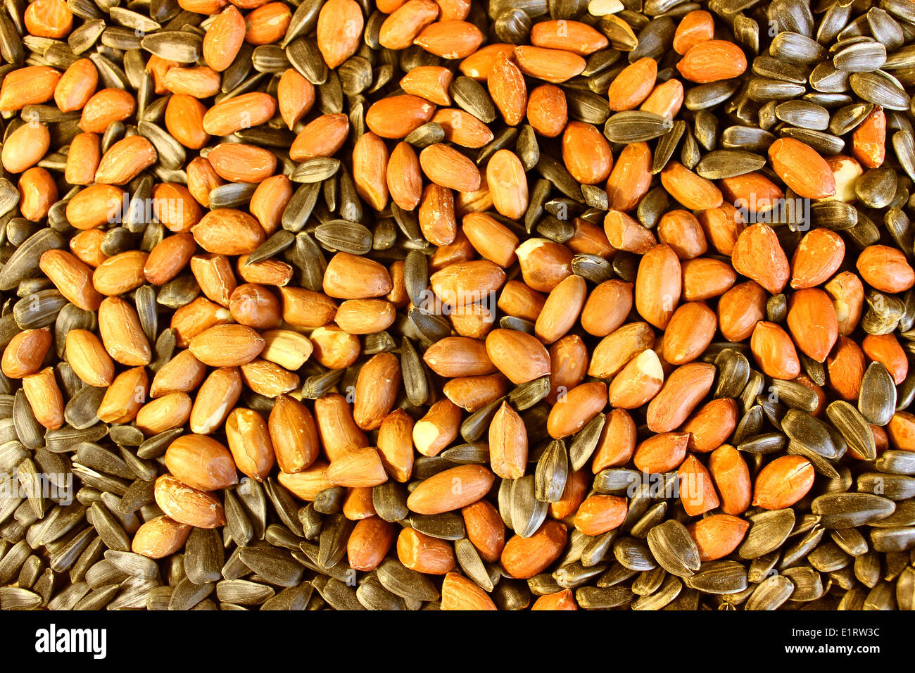 Erdnüsse und Sonnenblumenkerne Hintergrund Stockfoto