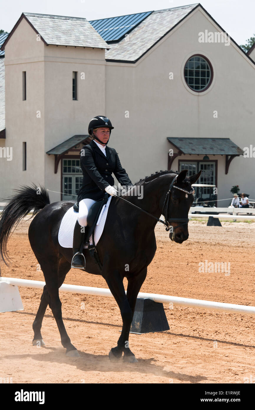 Dressur in den Sandhills, Pinehurst, NC Stockfoto